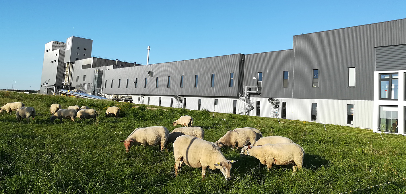 SGD Pharma prend les devants en matière de durabilité en recevant la médaille de platine d'EcoVadis pour la première fois