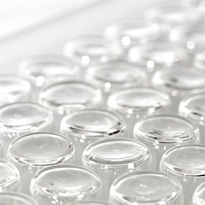 Type I molded glass vials Type I molded glass vials