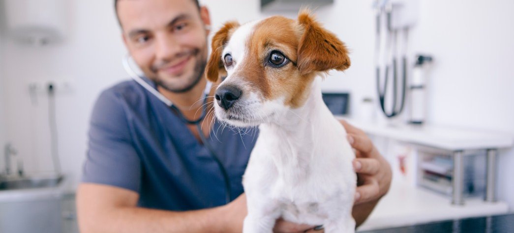 Animal Health