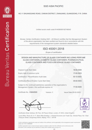 ISO 45001 SGD Asia Pacific