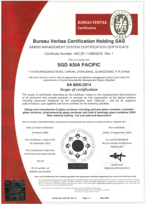 SA 8000 SGD Asia Pacific