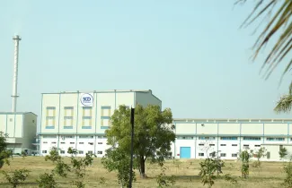 Vemula plant at a glance